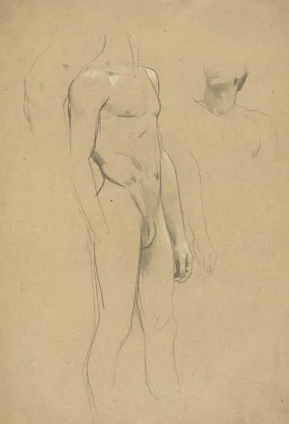 Männlicher Akt ohne Kopf, Hals- und Schulterstudie av Gustav Klimt