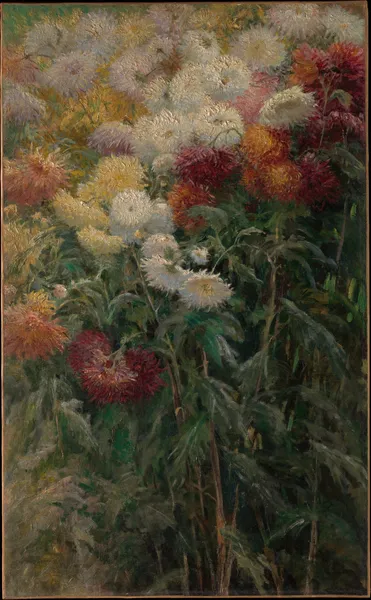 Chrysanthemums in the Garden at Petit-Gennevilliers av Gustave Caillebotte