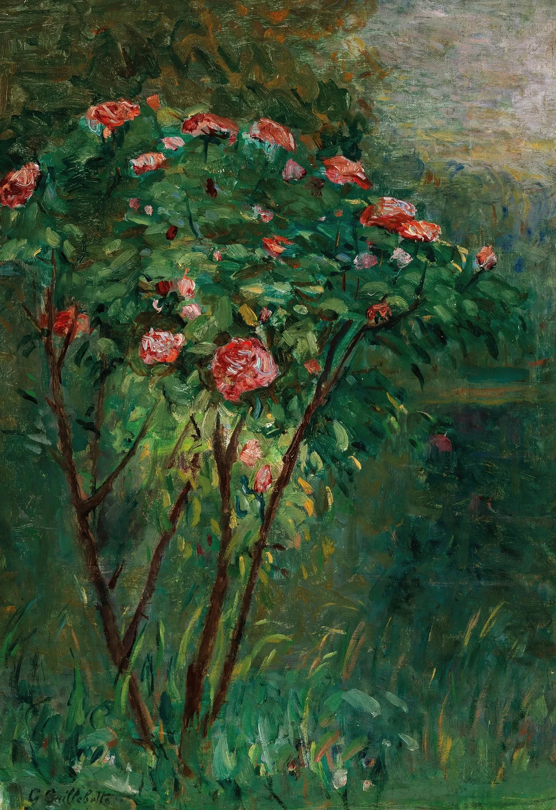 Le rosier fleuri av Gustave Caillebotte