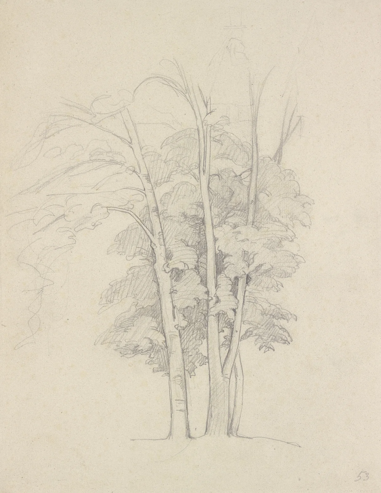 Three trees av Gustave Courbet