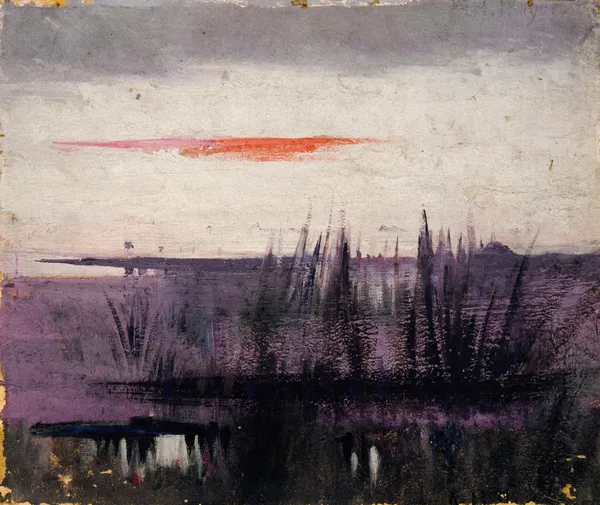 The Sky Simulated By White Flamingoes Study For Book, Concealing Coloration In The Animal Kingdom av Abbott Handerson Thayer