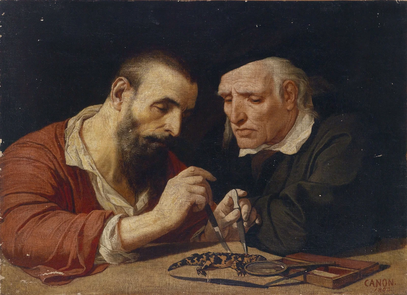 Der Salamander av Hans Canon