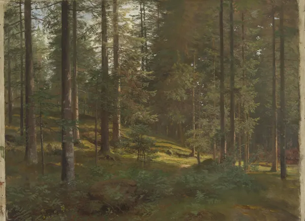 Wooded Landscape av Hans Gude