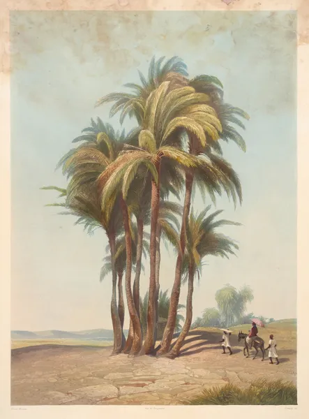 Bouquet de palmiers (Cluster of palm trees) av Hector Horeau