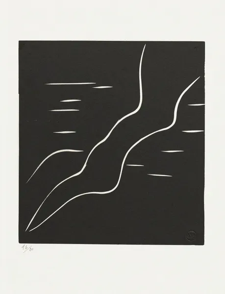 Le plongeon II av Henri Matisse