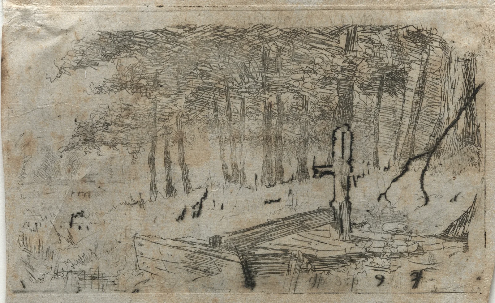 Small Study of Trees av Otto Henry Bacher