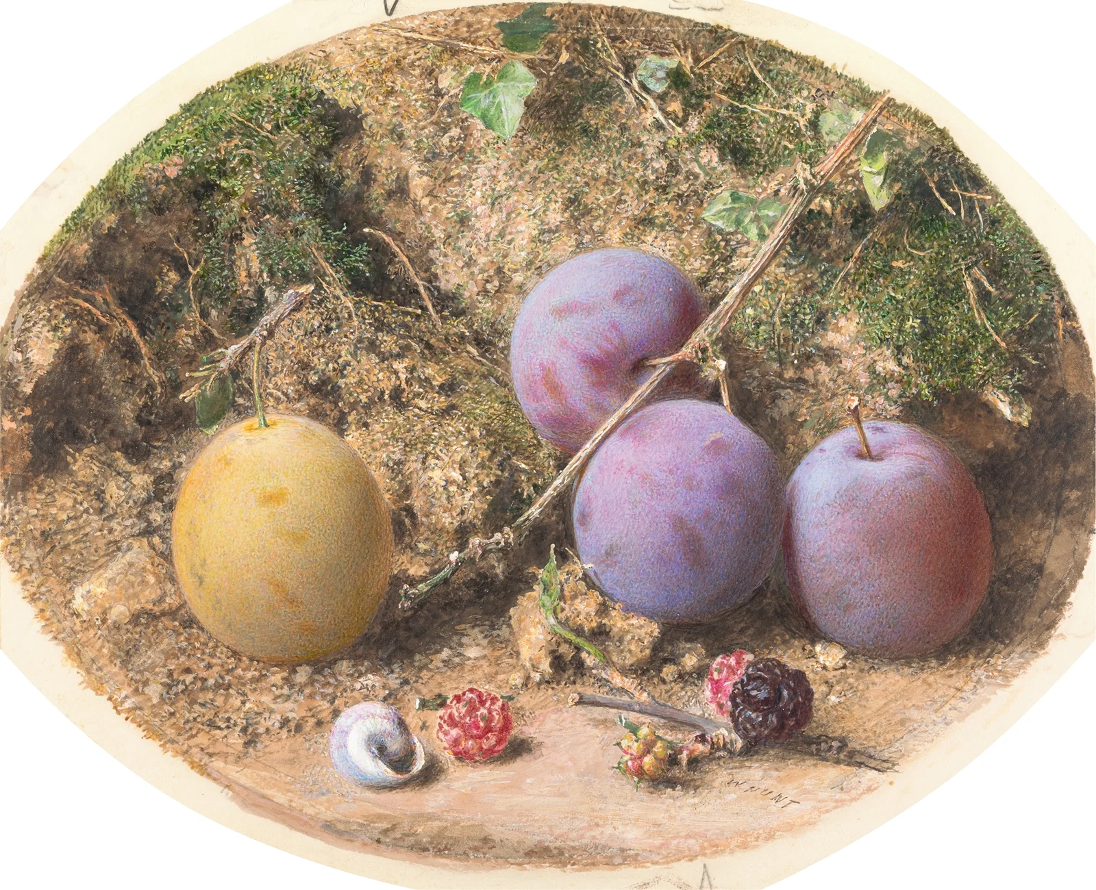 Plums and Mulberries av William Henry Hunt