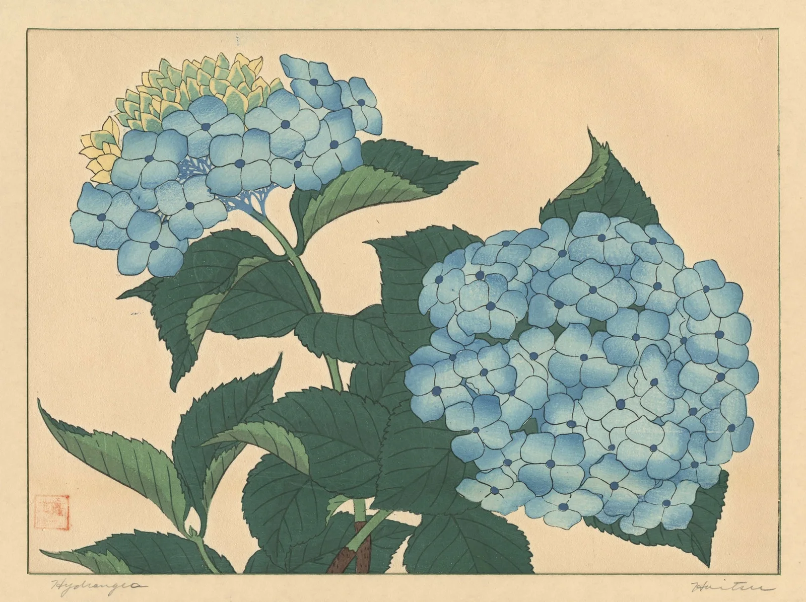 Hydrangea av Sakai Hōitsu