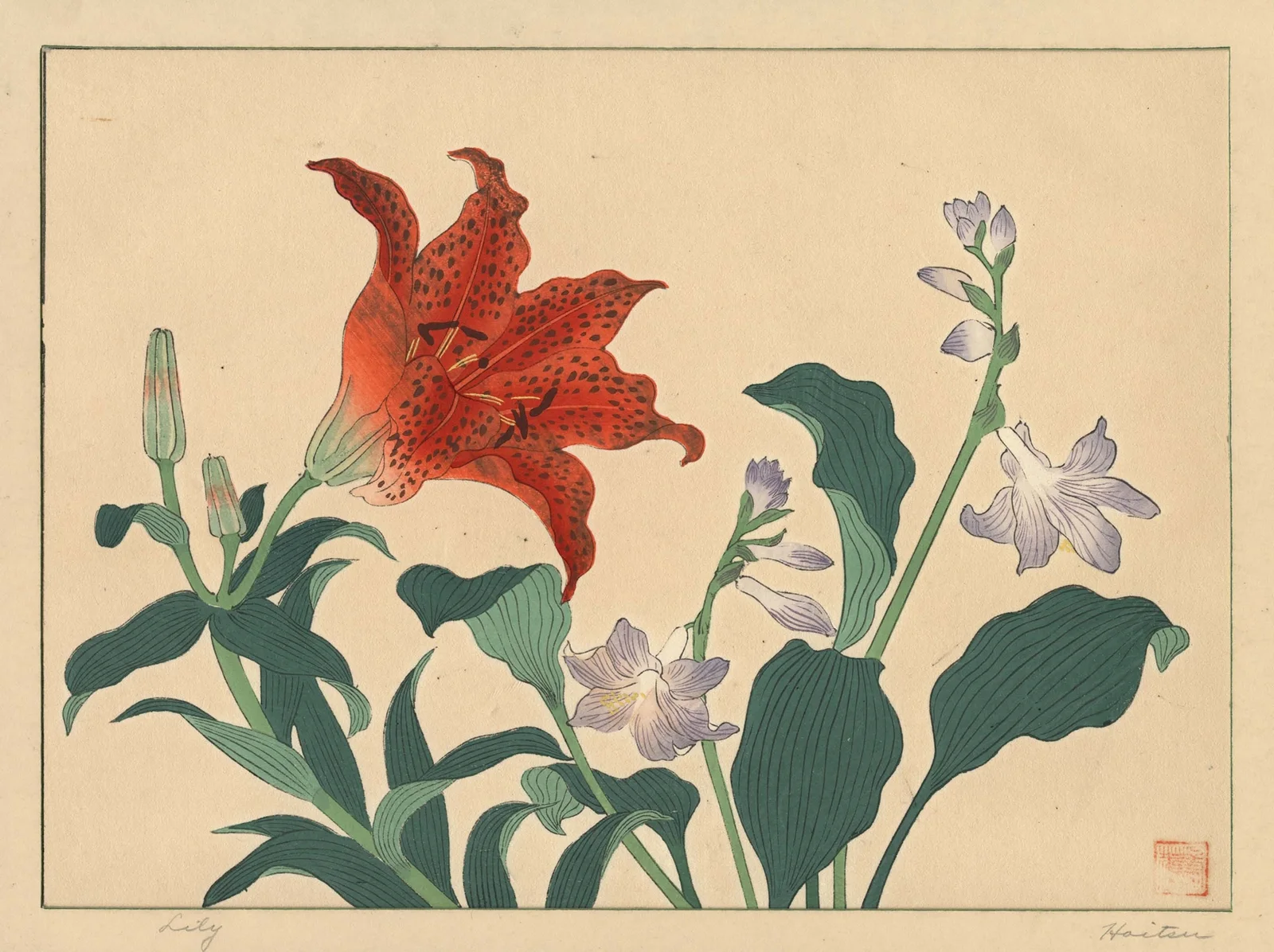 Lily av Sakai Hōitsu