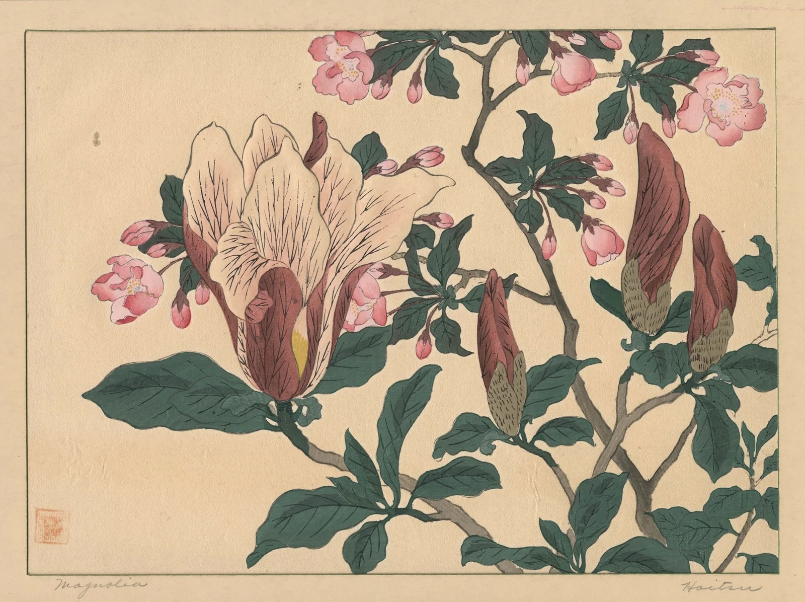 Magnolia av Sakai Hōitsu