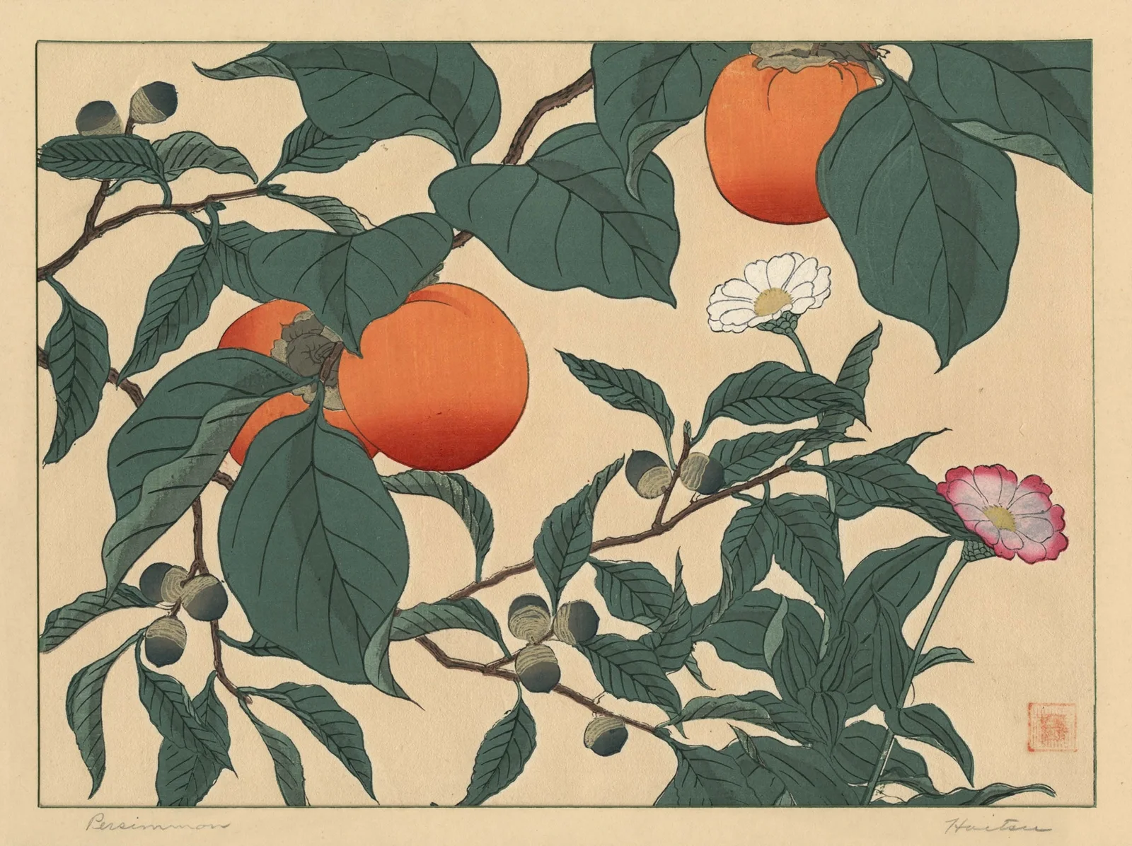 Persimmon av Sakai Hōitsu