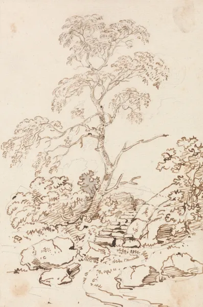 Tree by Steps av George Howland Beaumont