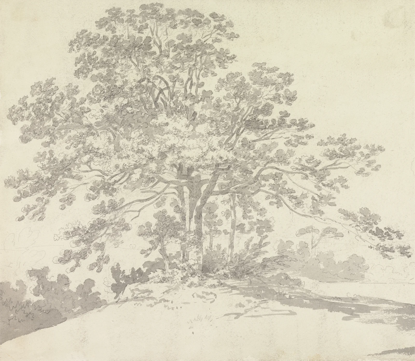 Tree av George Howland Beaumont