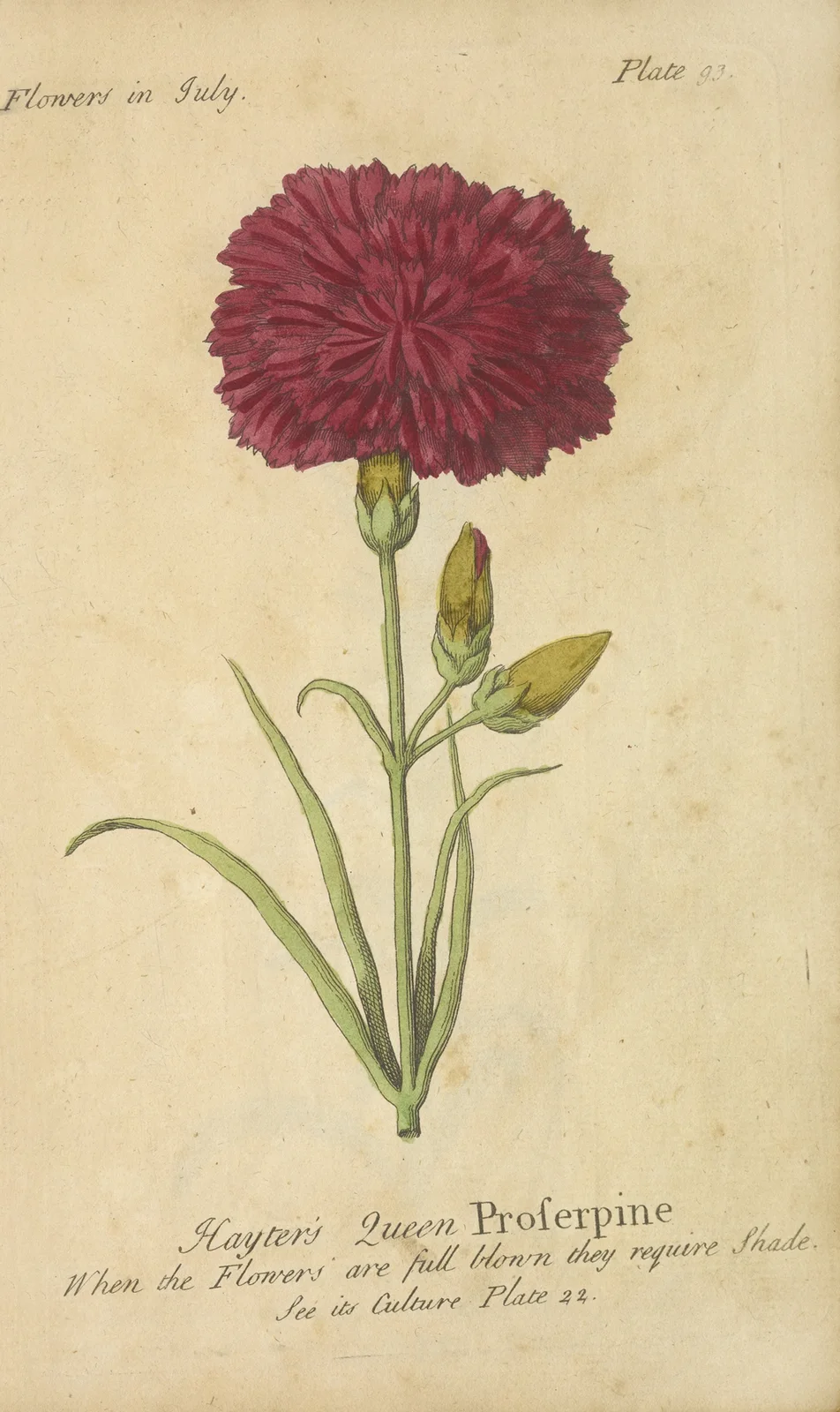 Hayter’s Queen Proserpine av J. Duke
