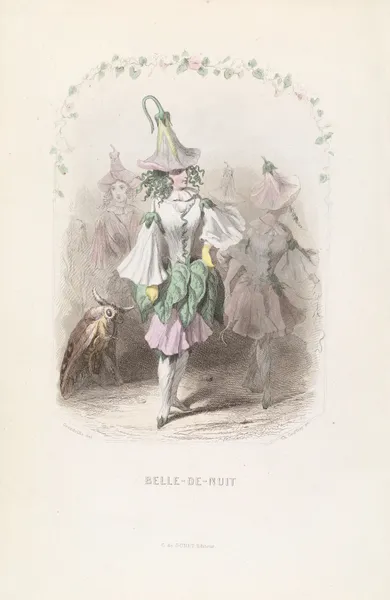 Belle-de-nuit av J. J. Grandville