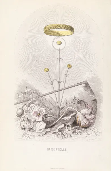 Immortelle av J. J. Grandville