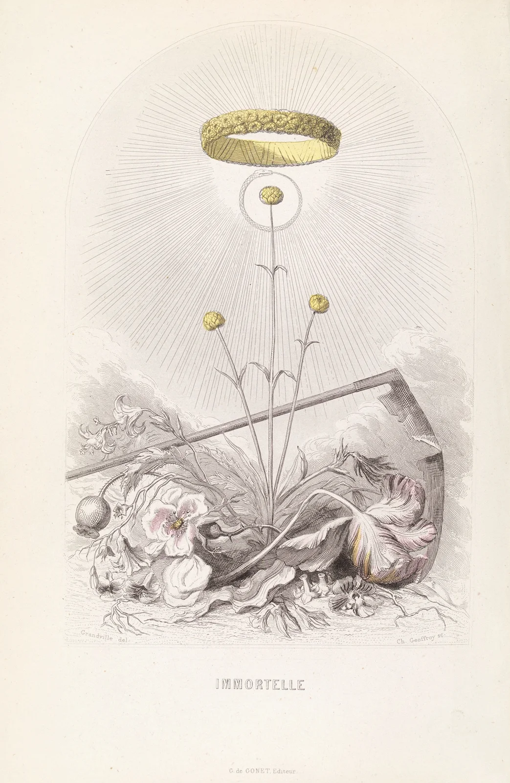 Immortelle av J. J. Grandville