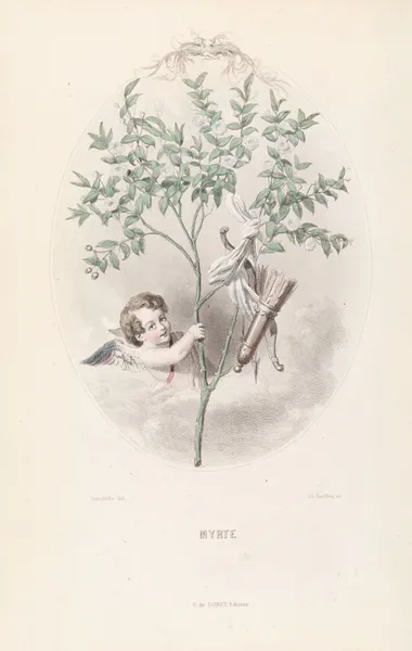 Myrte av J. J. Grandville