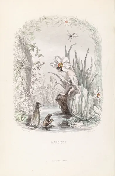Narcisse av J. J. Grandville