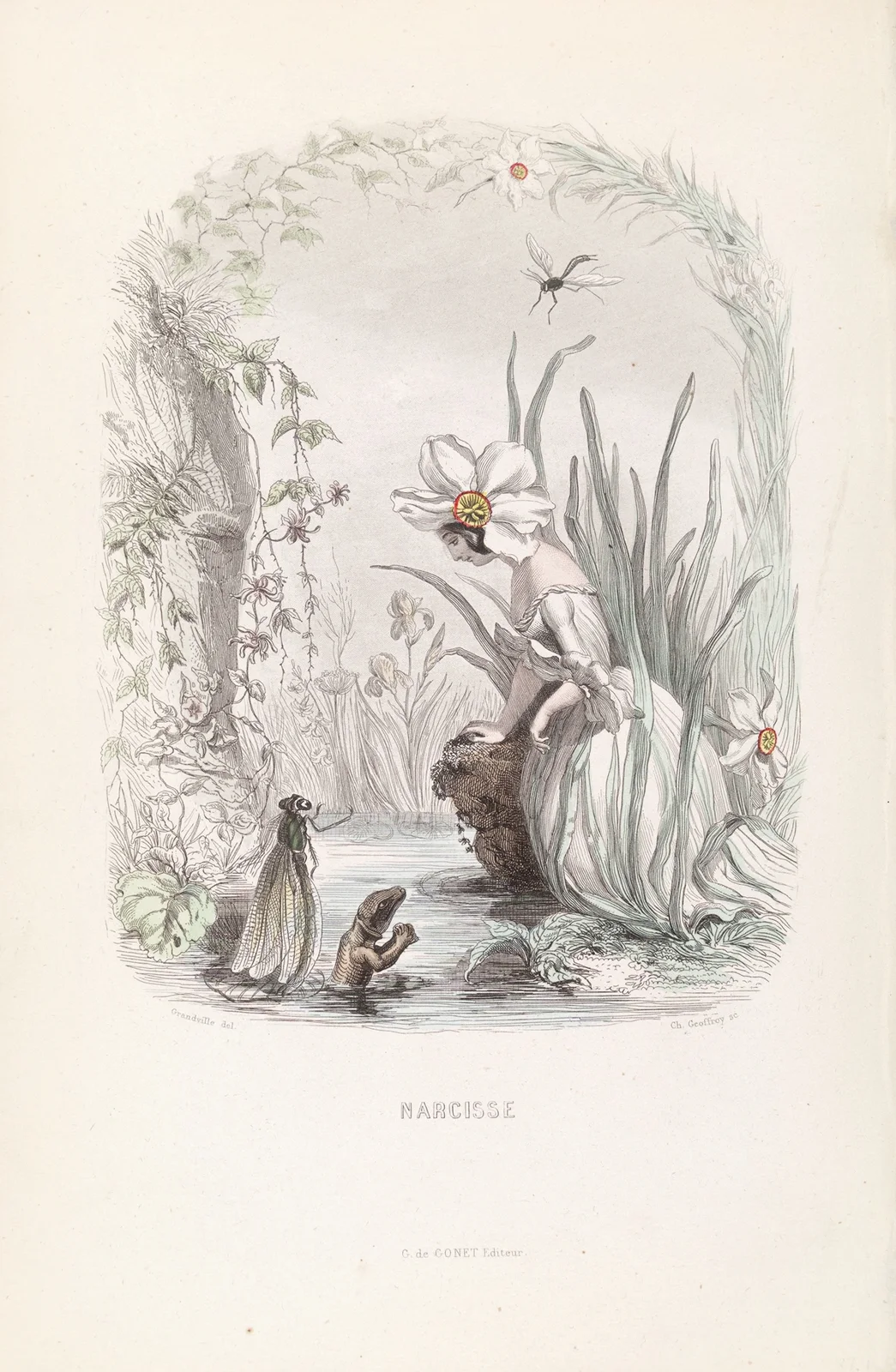 Narcisse av J. J. Grandville