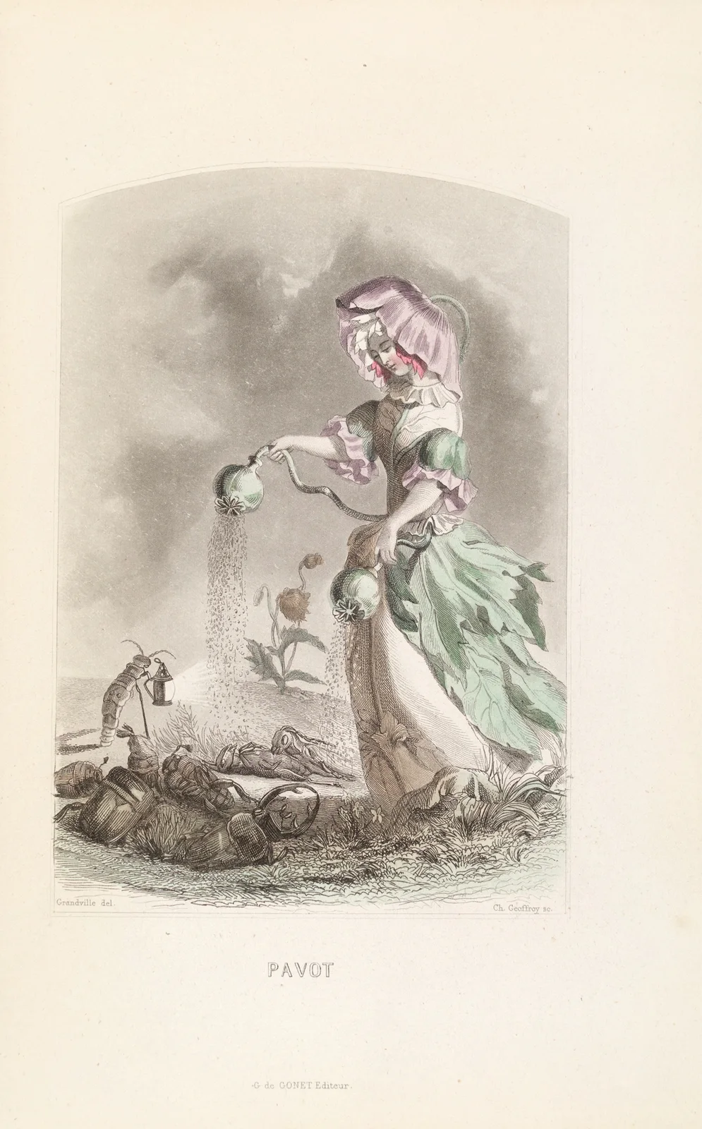 Pavot av J. J. Grandville