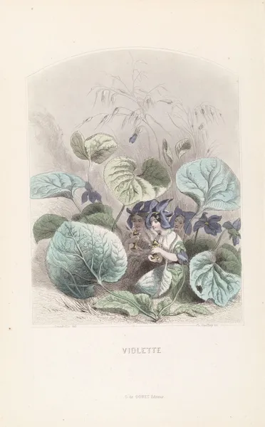 Violette av J. J. Grandville