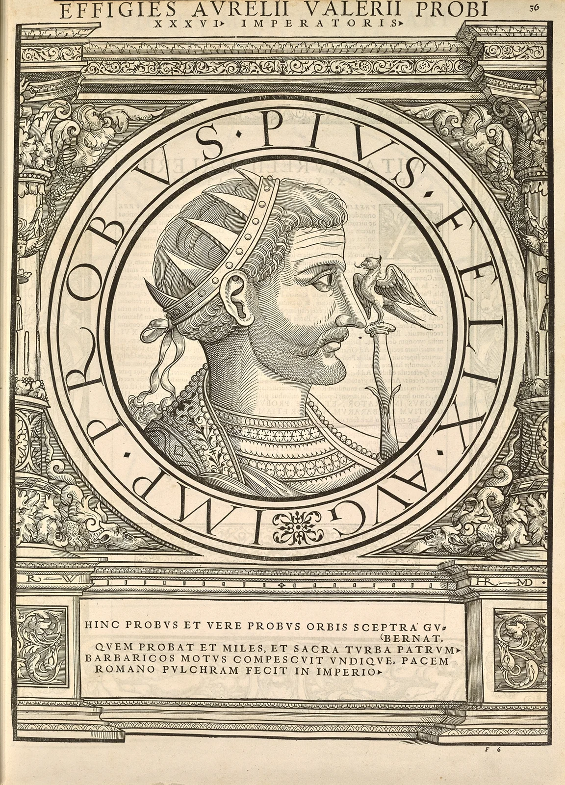 Probus av Jacopo Strada