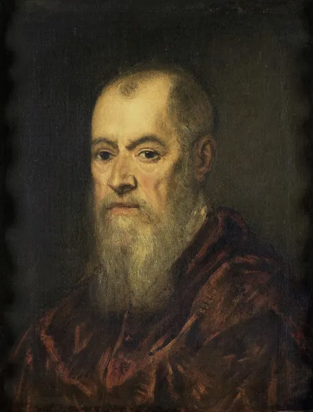 Portrait of a Man with a Red Cloak av Jacopo Tintoretto
