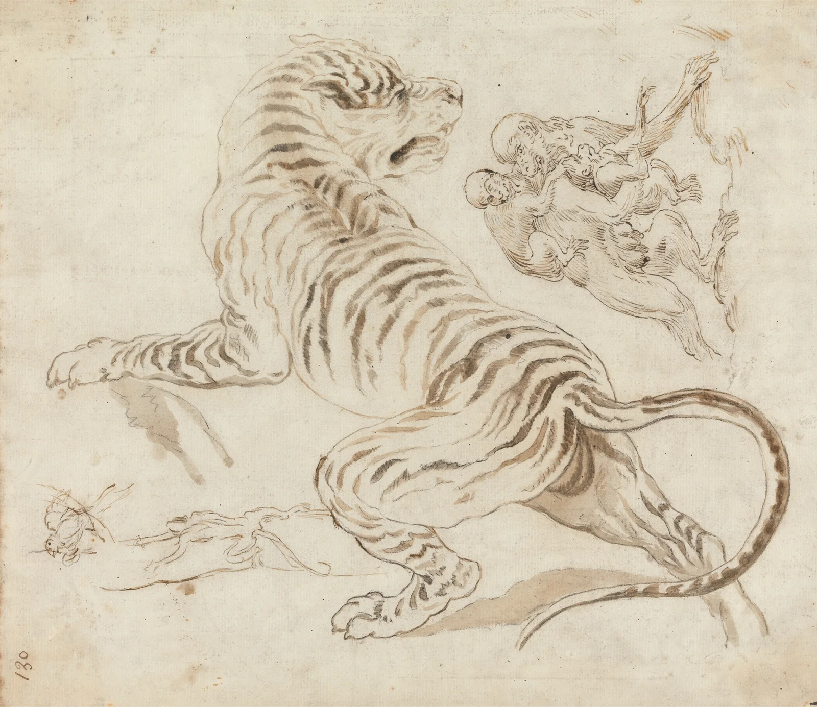 Study for a Tiger and Monkeys av James Northcote