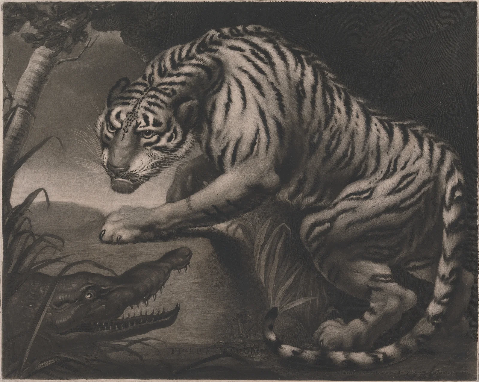 Tiger and Crocodile av James Northcote