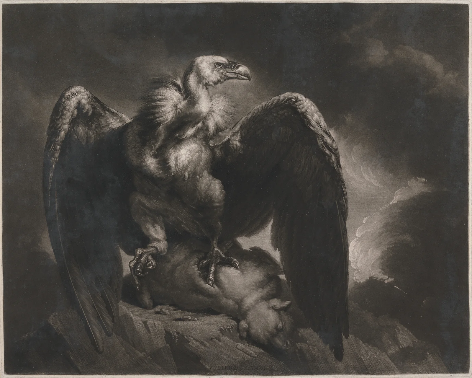 Vulture and Lamb av James Northcote