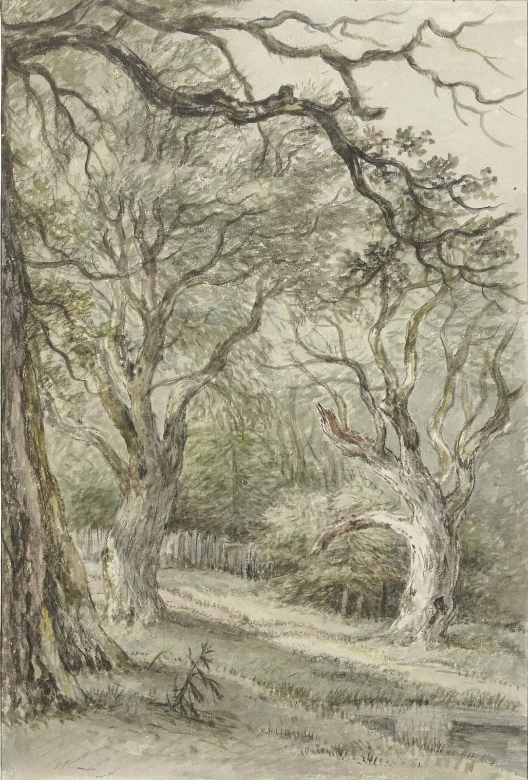 Bosgezicht av Jan Hulswit