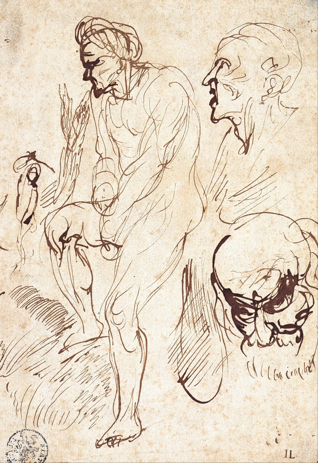 Studies after the Model av Jan Lievens