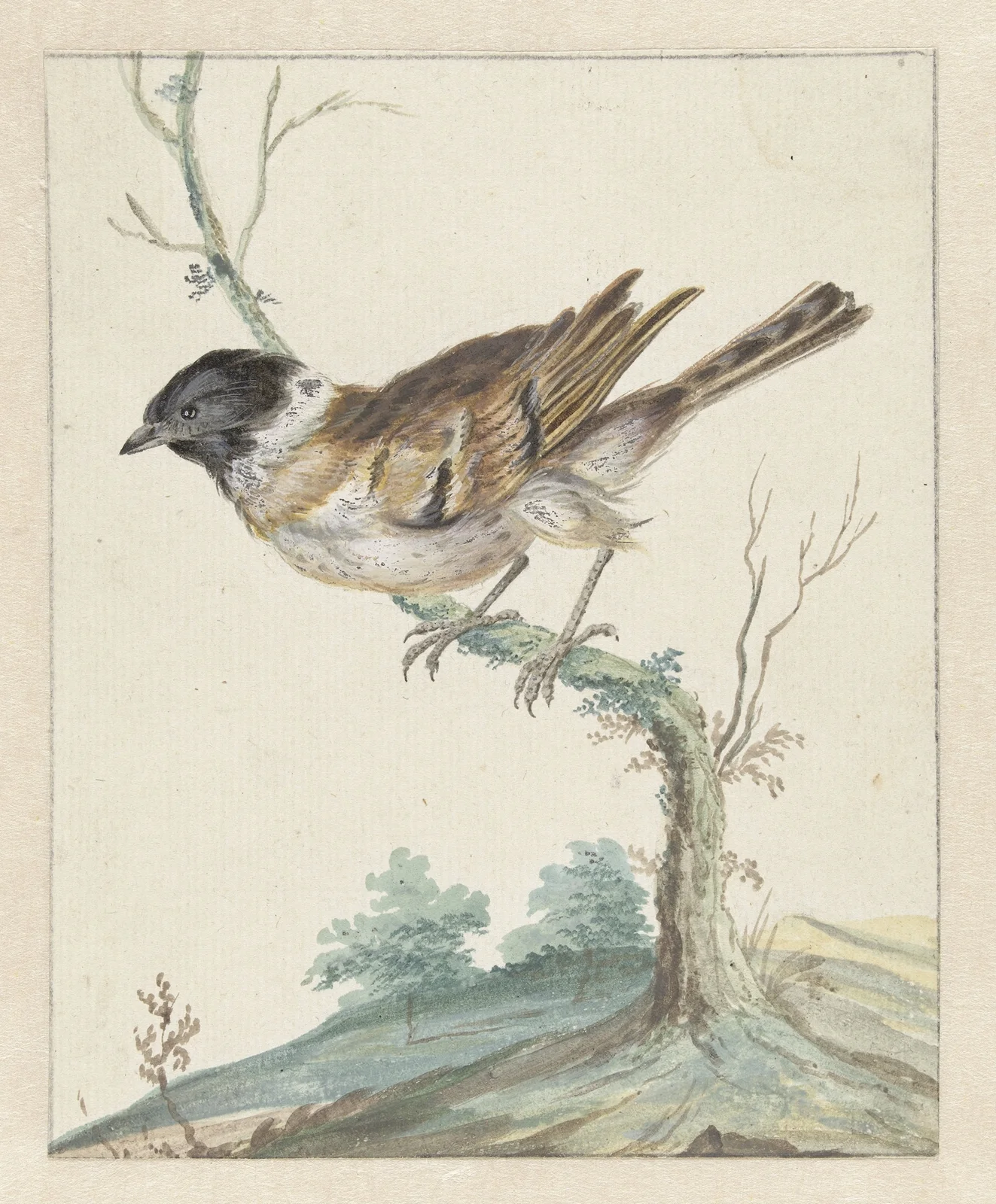 Rietgors av Jan Weenix