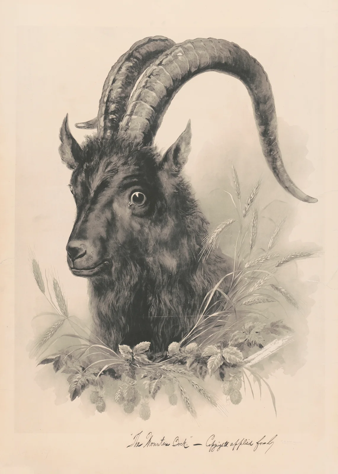 The mountain bock av Henry Jerome Schile