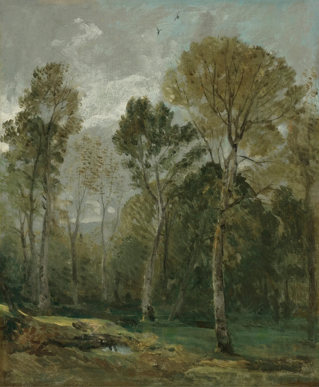 View Of A Copse av John Constable