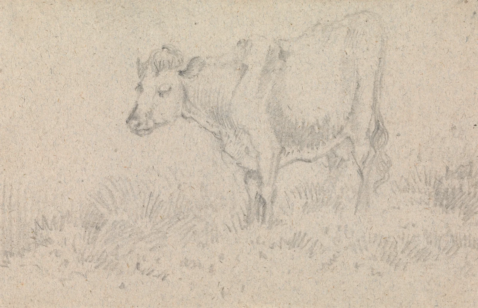 A Cow av John Crome