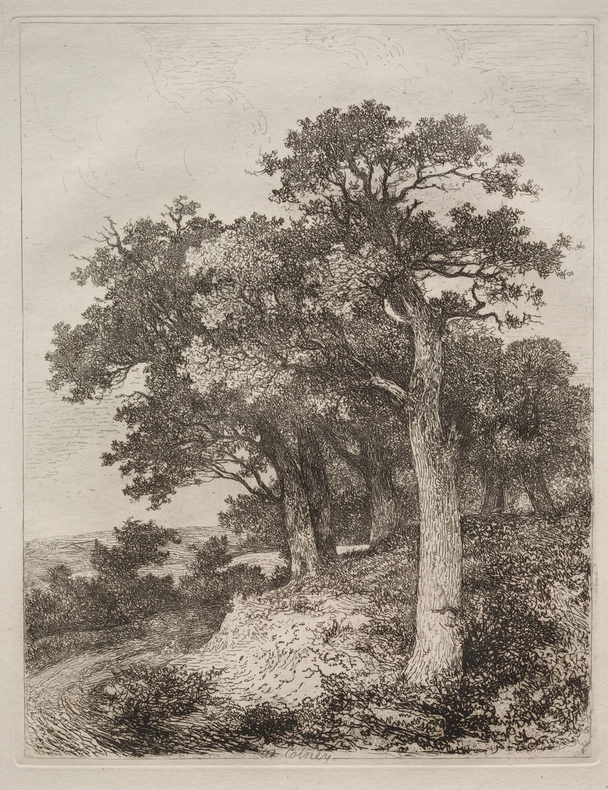 At Colney av John Crome
