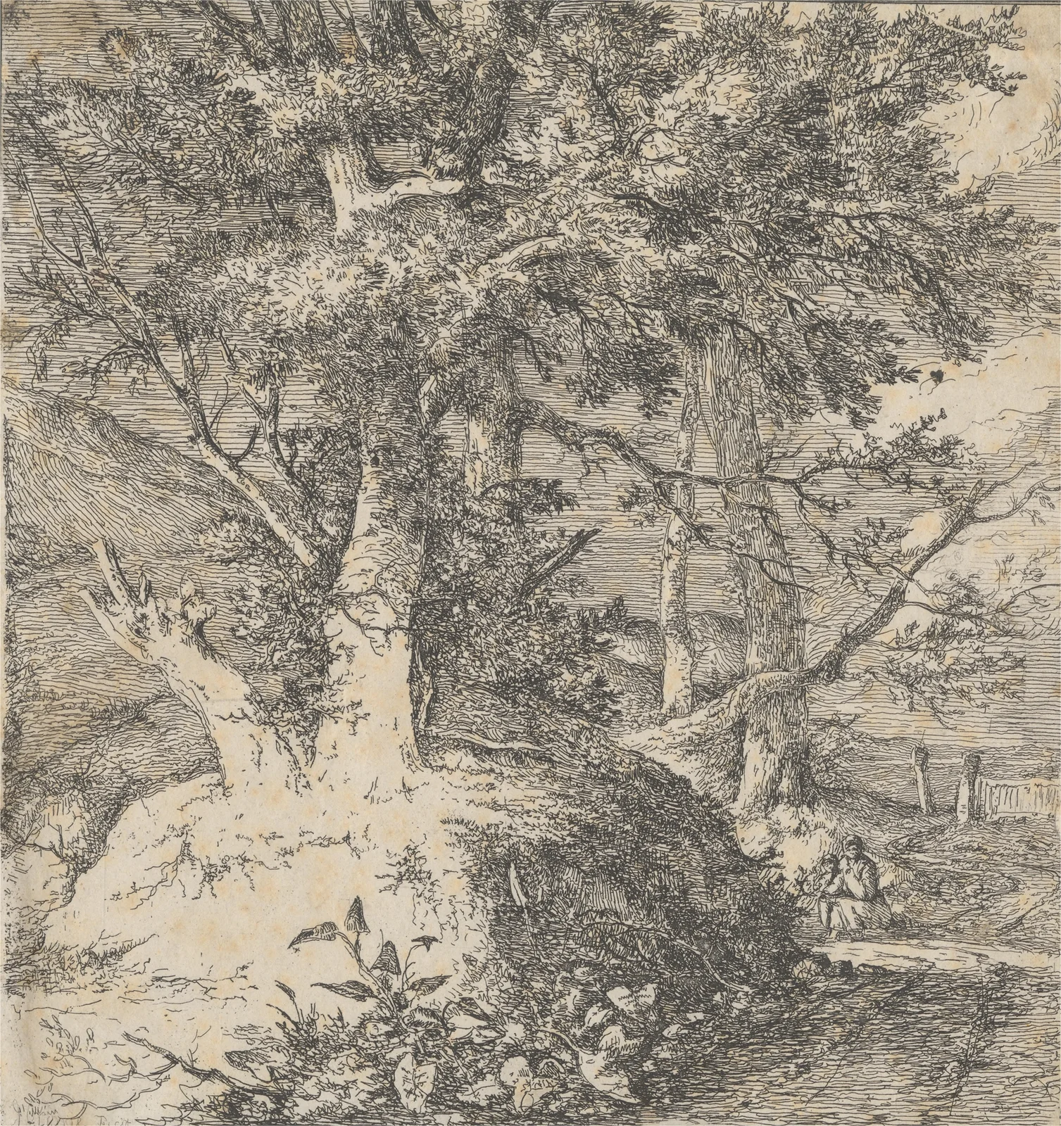 Wooded Landscape av John Crome