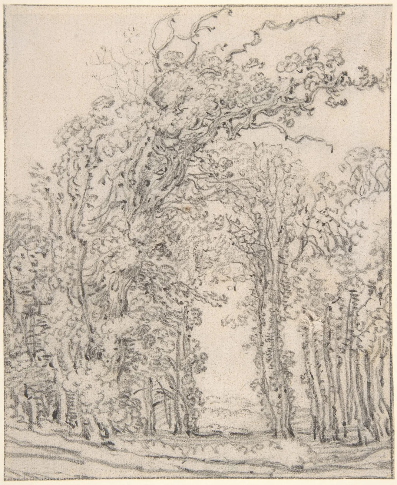 Study of Trees (17th century) av John Ruskin