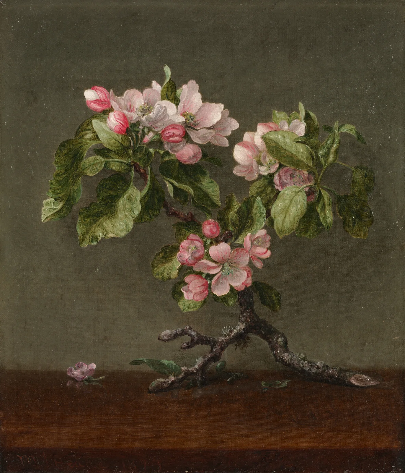 Apple Blossoms av Martin Johnson Heade