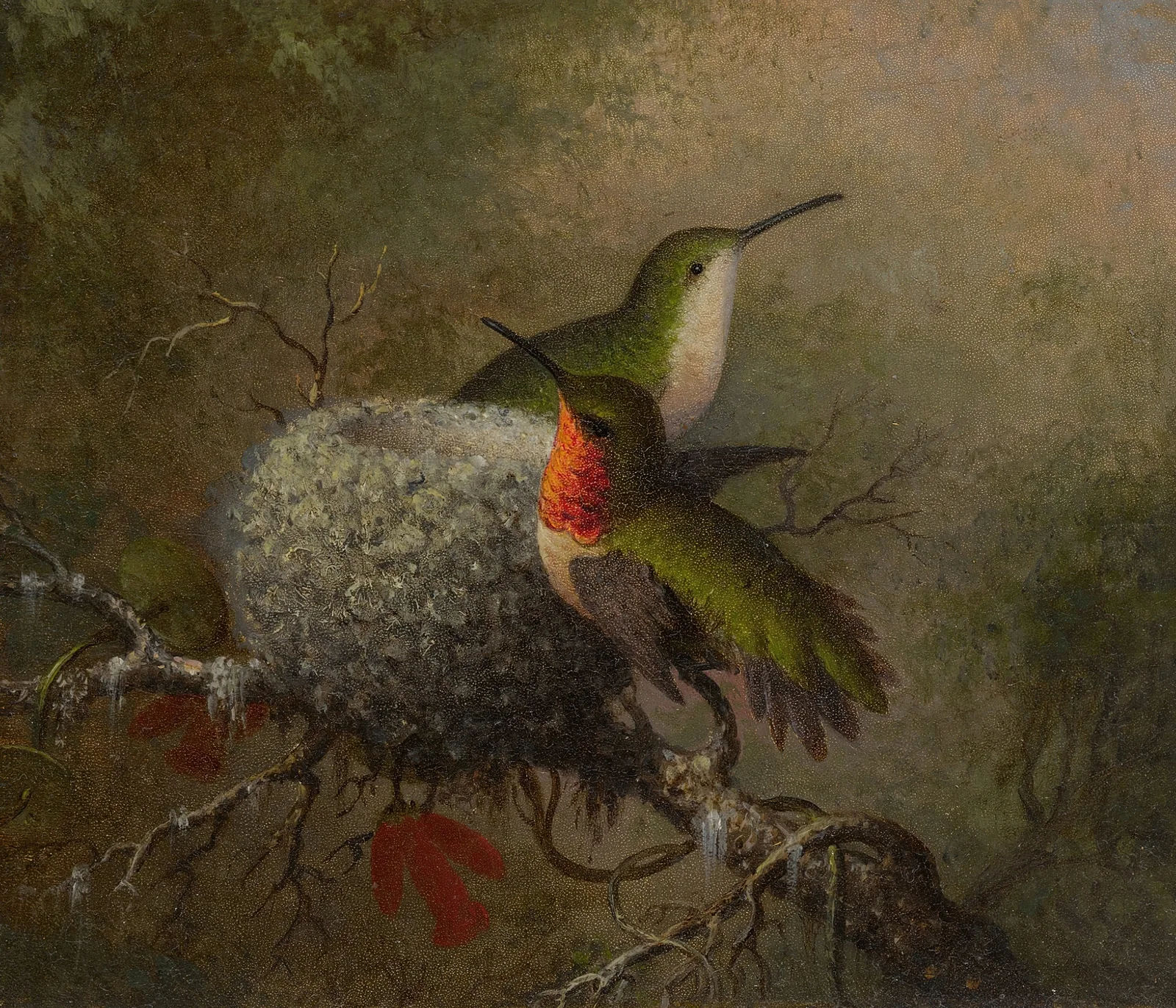 Two Ruby Throats By Their Nest av Martin Johnson Heade