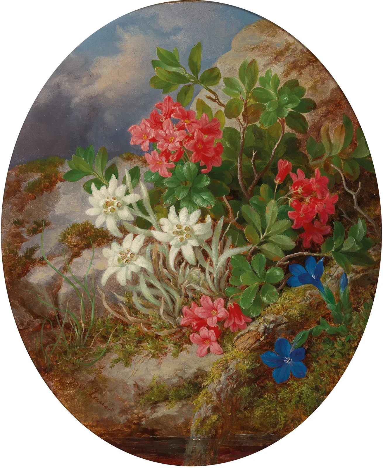 Alpine Flowers av Josef Lauer