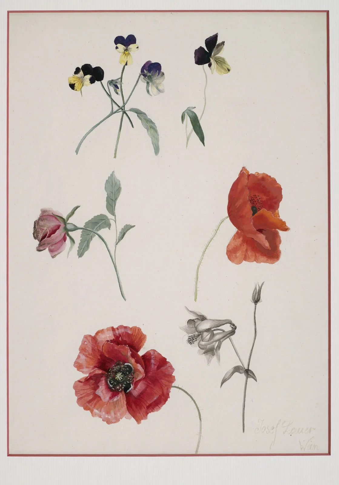 Blumen av Josef Lauer