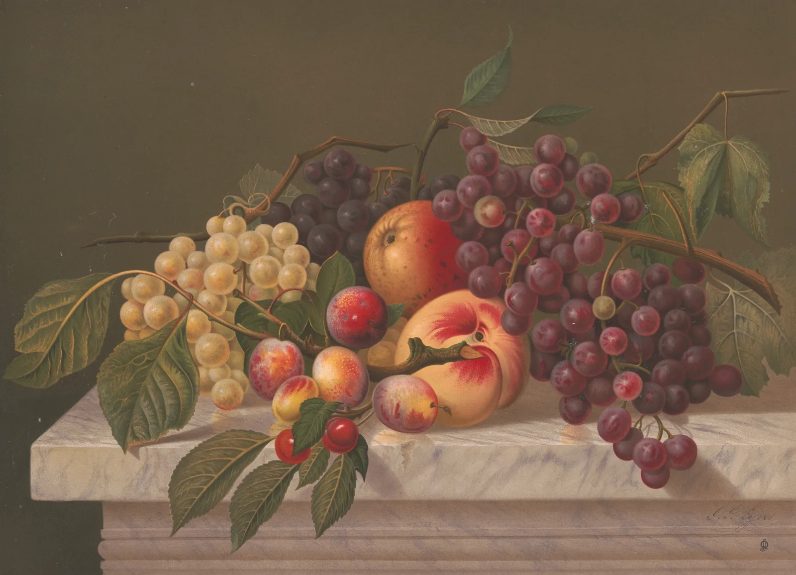 American grapes av Joseph Hoover