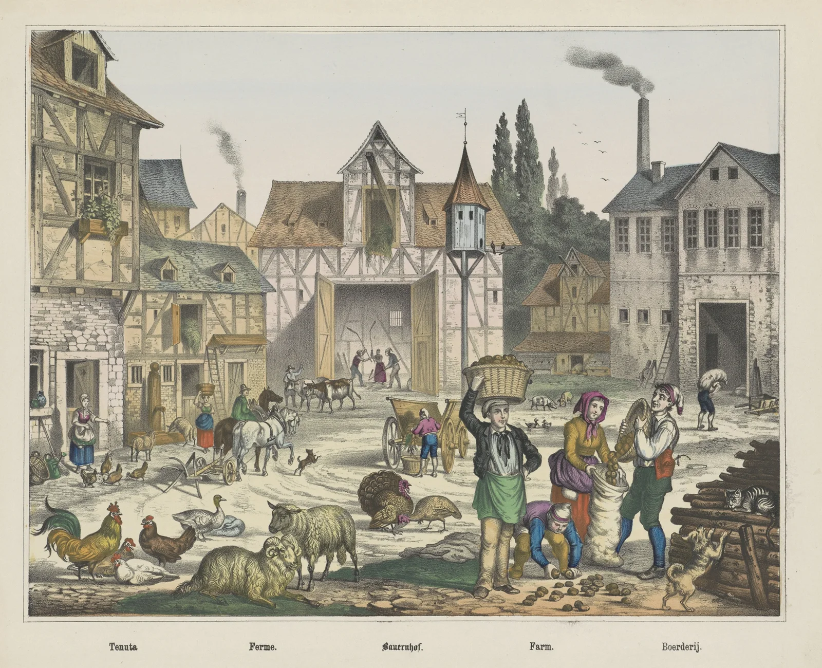Farm av Joseph Scholz