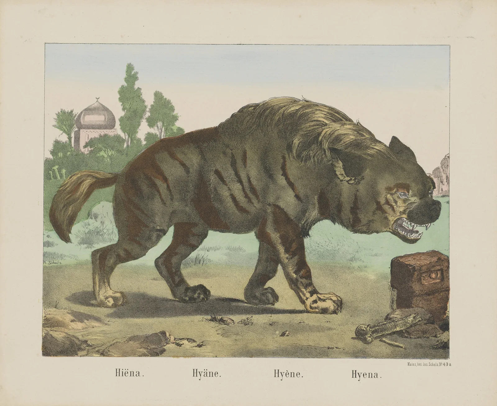 Hyena av Joseph Scholz