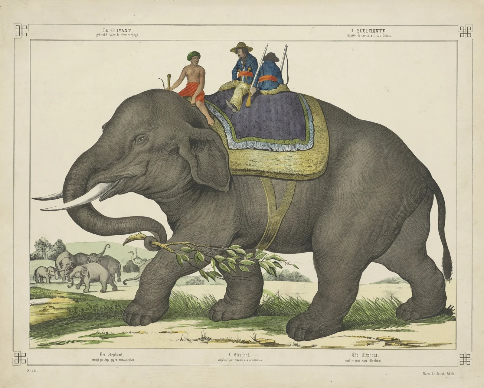 The elephant av Joseph Scholz