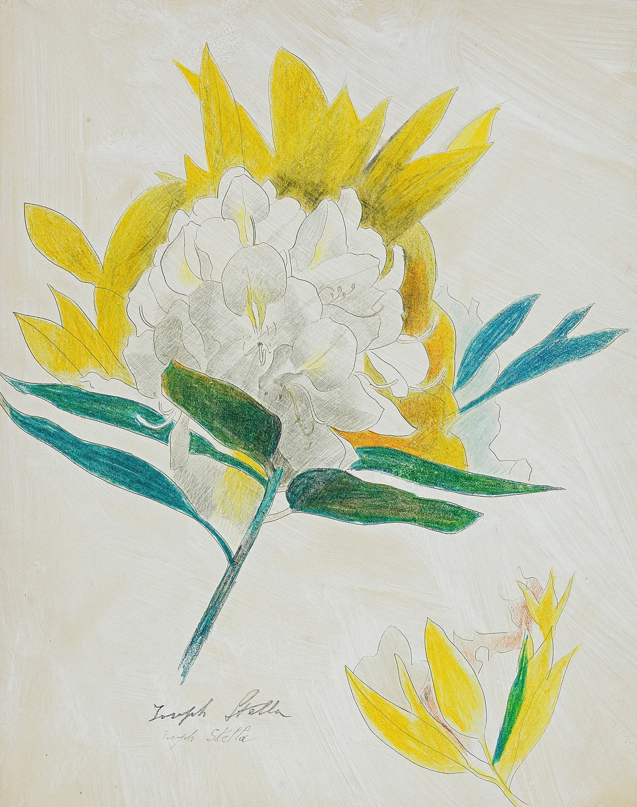 Cactus Flower av Joseph Stella