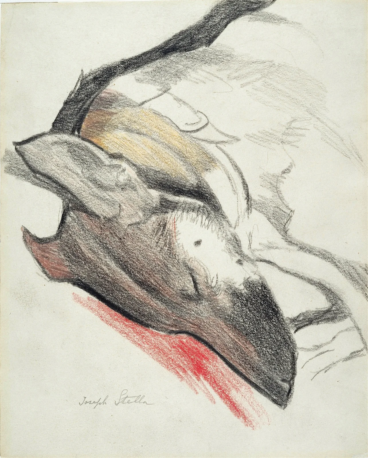Sleeping Dog av Joseph Stella